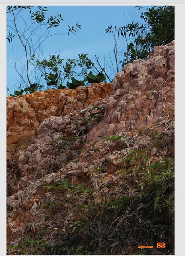 PHOTO-SET--Style-Men-X-15---Vietnamese-Go-Go-Boy-Tomas